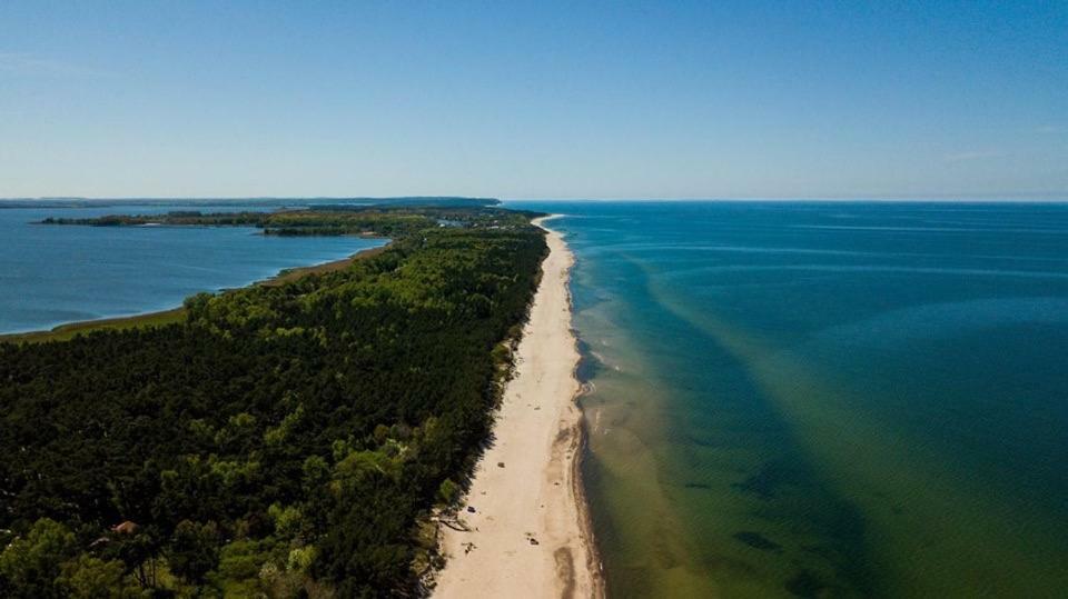 Апартаменты Dom Przy Plazy Дзивновек Экстерьер фото